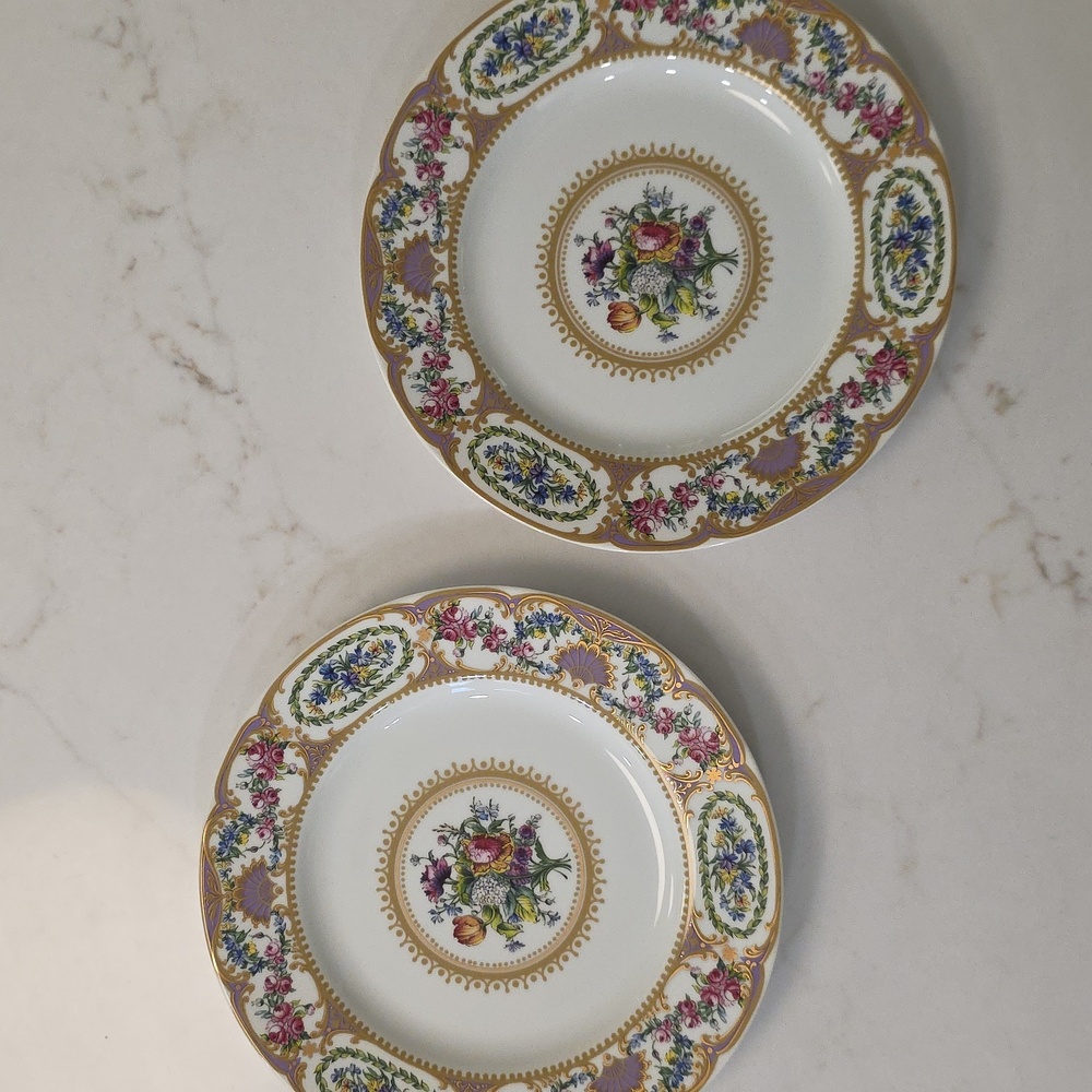 Beautiful China Plates Set Of 2